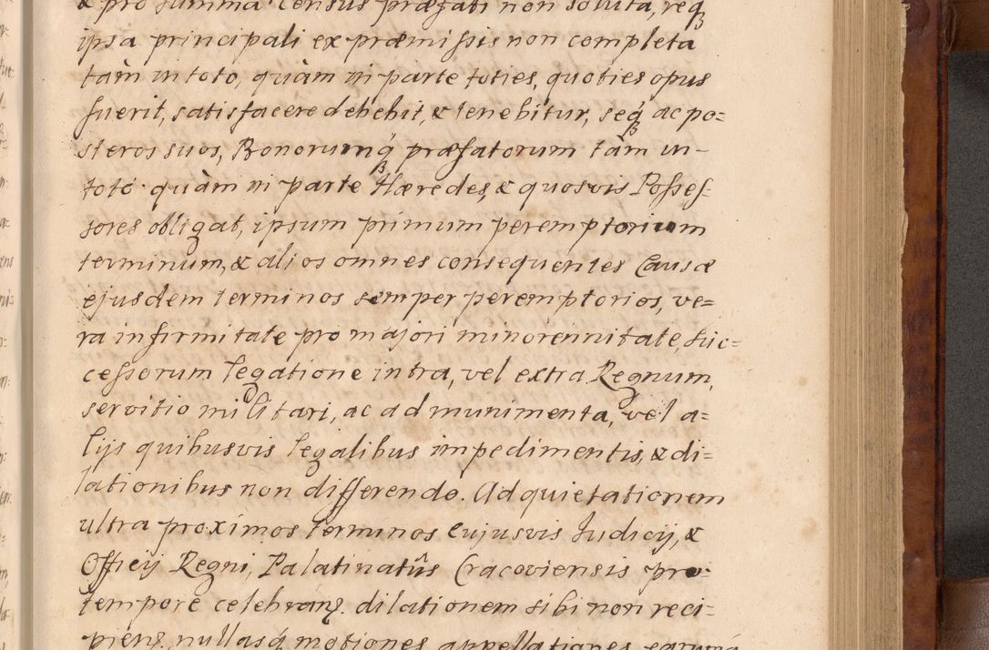 Zdjęcie nr 188 dla obiektu archiwalnego: Volumen VIII actorum episcopalium R. D. Joannis Małachowski, episcopi Cracoviensis ducis Severiae de anno 1697, quorum index videatur ad finem