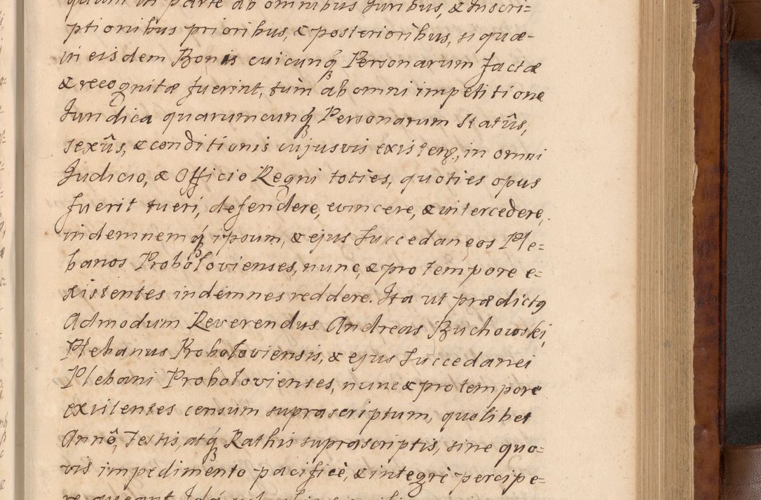 Zdjęcie nr 186 dla obiektu archiwalnego: Volumen VIII actorum episcopalium R. D. Joannis Małachowski, episcopi Cracoviensis ducis Severiae de anno 1697, quorum index videatur ad finem
