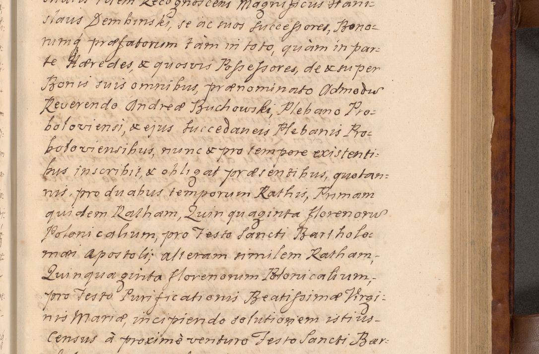 Zdjęcie nr 184 dla obiektu archiwalnego: Volumen VIII actorum episcopalium R. D. Joannis Małachowski, episcopi Cracoviensis ducis Severiae de anno 1697, quorum index videatur ad finem