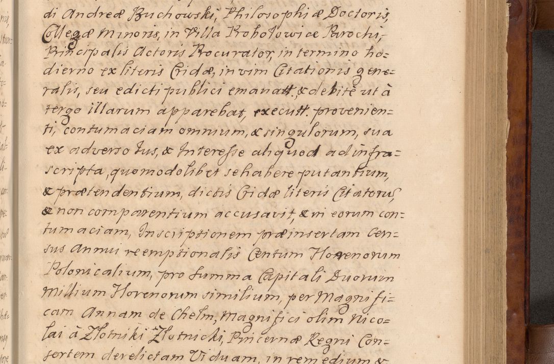 Zdjęcie nr 180 dla obiektu archiwalnego: Volumen VIII actorum episcopalium R. D. Joannis Małachowski, episcopi Cracoviensis ducis Severiae de anno 1697, quorum index videatur ad finem