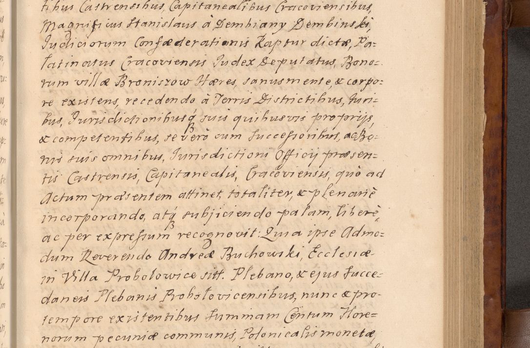 Zdjęcie nr 182 dla obiektu archiwalnego: Volumen VIII actorum episcopalium R. D. Joannis Małachowski, episcopi Cracoviensis ducis Severiae de anno 1697, quorum index videatur ad finem