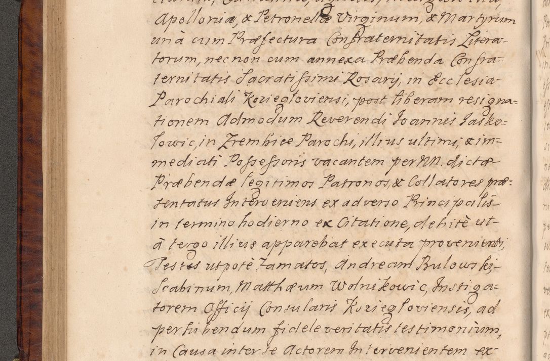 Zdjęcie nr 153 dla obiektu archiwalnego: Volumen VIII actorum episcopalium R. D. Joannis Małachowski, episcopi Cracoviensis ducis Severiae de anno 1697, quorum index videatur ad finem