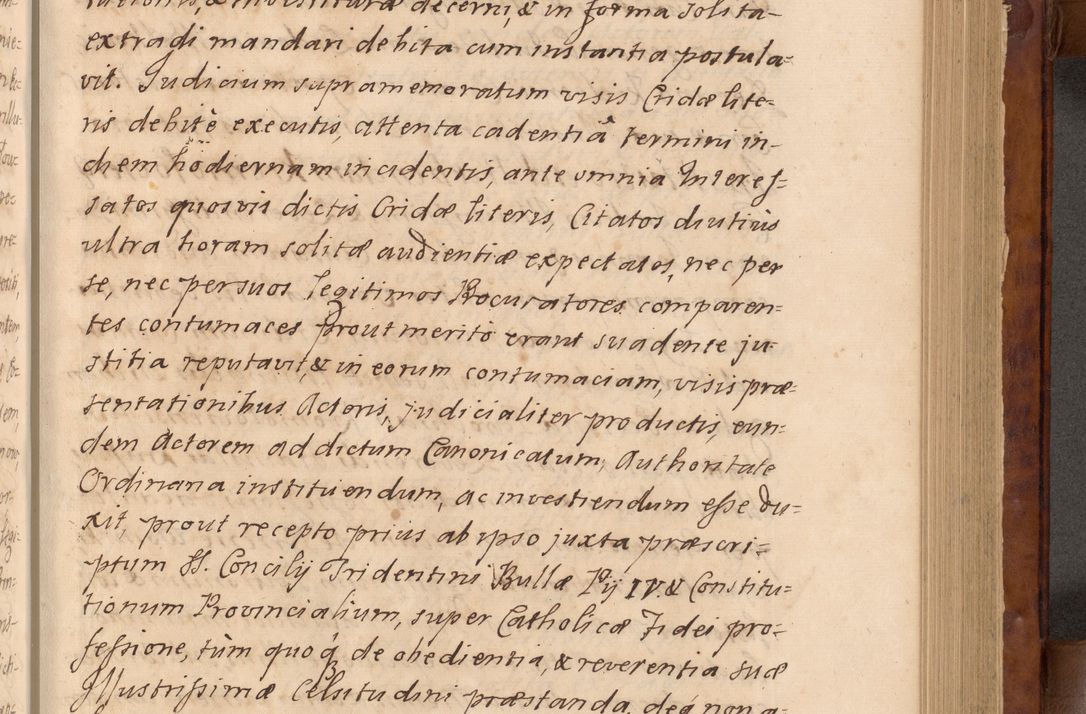 Zdjęcie nr 134 dla obiektu archiwalnego: Volumen VIII actorum episcopalium R. D. Joannis Małachowski, episcopi Cracoviensis ducis Severiae de anno 1697, quorum index videatur ad finem