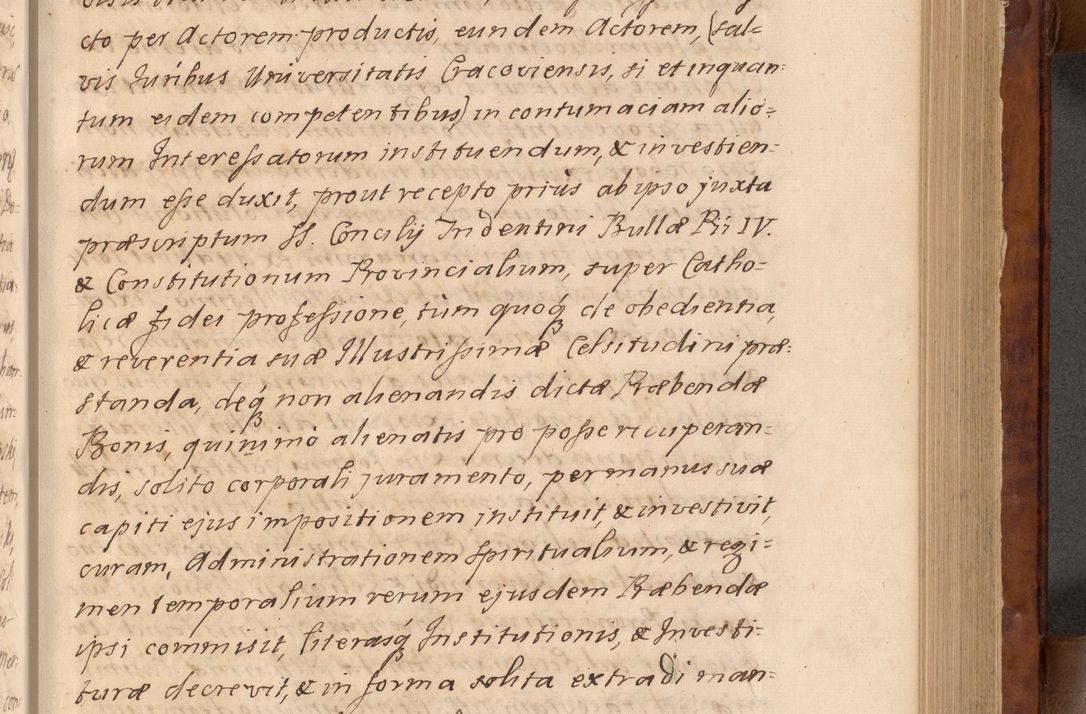 Zdjęcie nr 136 dla obiektu archiwalnego: Volumen VIII actorum episcopalium R. D. Joannis Małachowski, episcopi Cracoviensis ducis Severiae de anno 1697, quorum index videatur ad finem