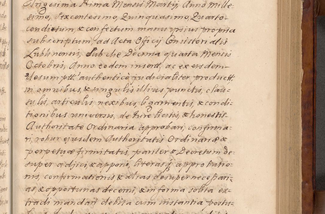 Zdjęcie nr 114 dla obiektu archiwalnego: Volumen VIII actorum episcopalium R. D. Joannis Małachowski, episcopi Cracoviensis ducis Severiae de anno 1697, quorum index videatur ad finem