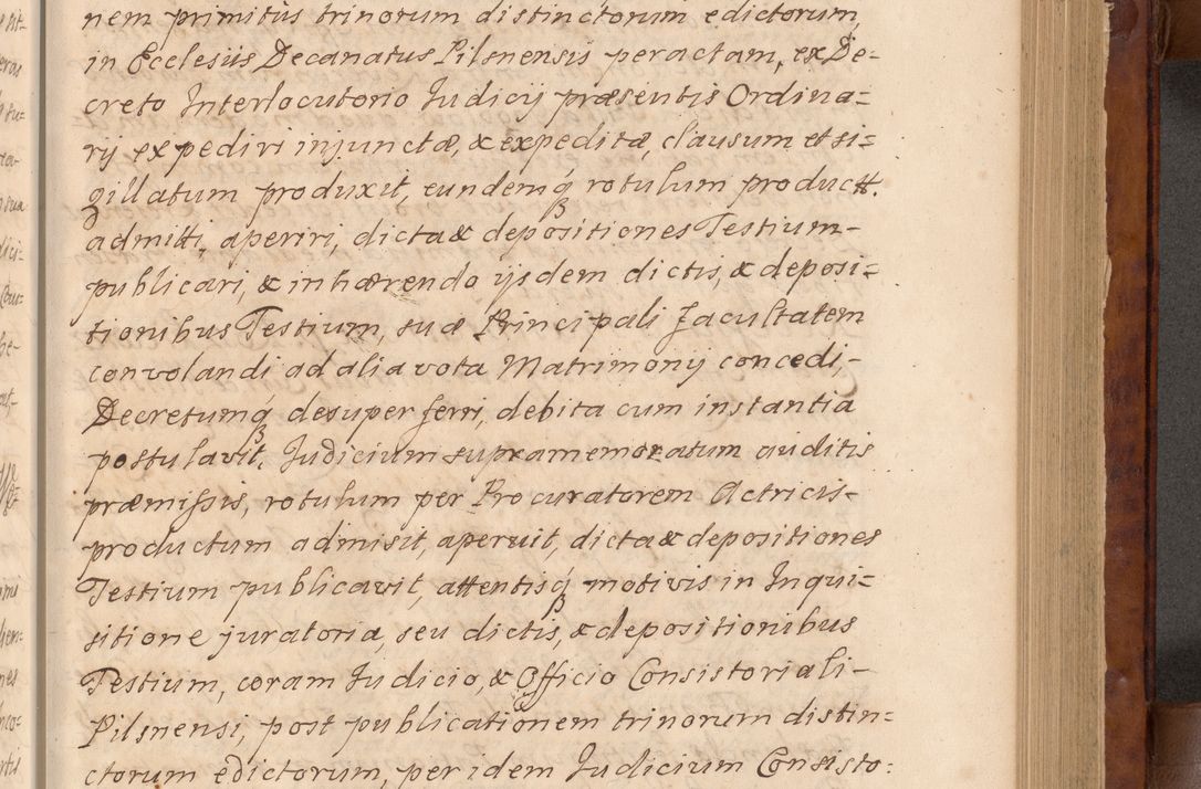 Zdjęcie nr 96 dla obiektu archiwalnego: Volumen VIII actorum episcopalium R. D. Joannis Małachowski, episcopi Cracoviensis ducis Severiae de anno 1697, quorum index videatur ad finem
