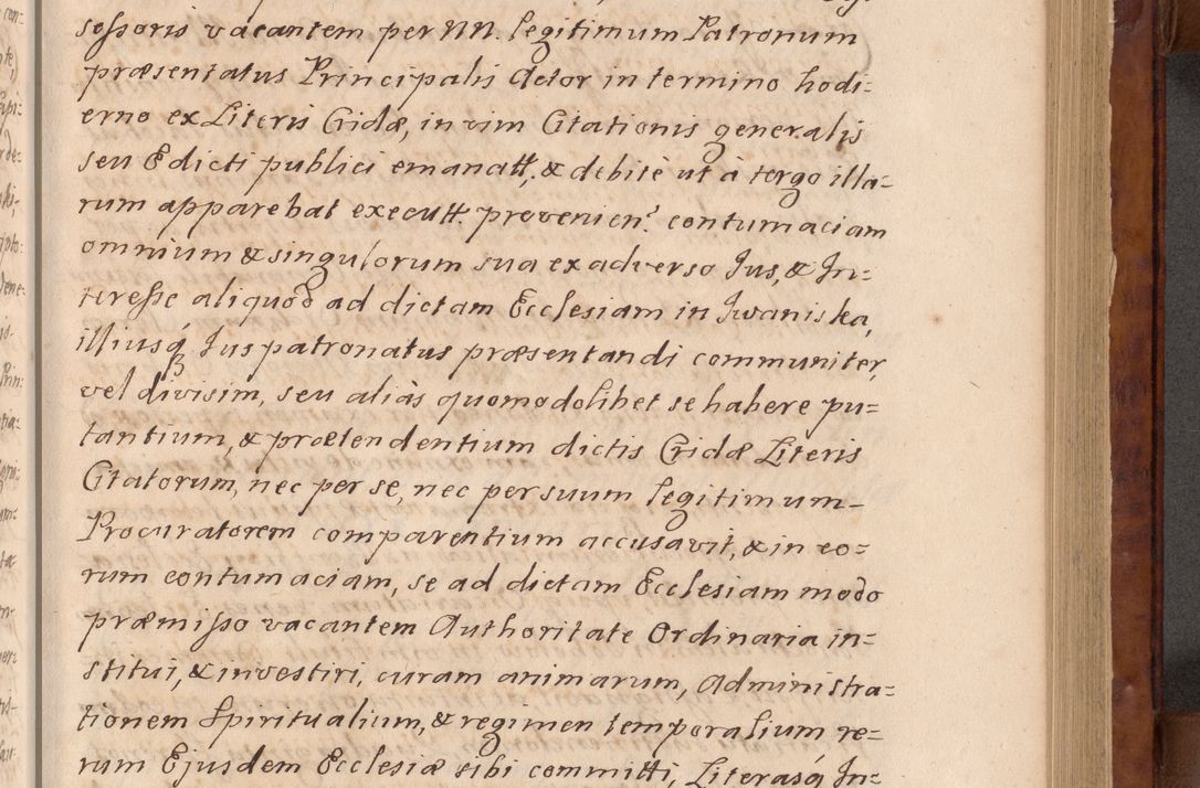 Zdjęcie nr 42 dla obiektu archiwalnego: Volumen VIII actorum episcopalium R. D. Joannis Małachowski, episcopi Cracoviensis ducis Severiae de anno 1697, quorum index videatur ad finem