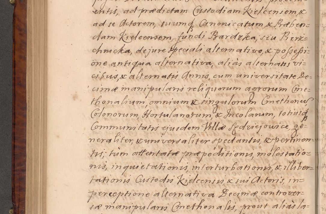Zdjęcie nr 401 dla obiektu archiwalnego: Volumen VIII actorum episcopalium R. D. Joannis Małachowski, episcopi Cracoviensis ducis Severiae de anno 1697, quorum index videatur ad finem