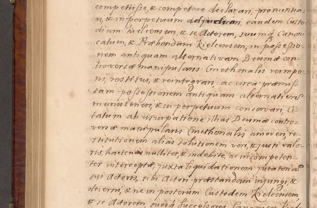 Zdjęcie nr 397 dla obiektu archiwalnego: Volumen VIII actorum episcopalium R. D. Joannis Małachowski, episcopi Cracoviensis ducis Severiae de anno 1697, quorum index videatur ad finem