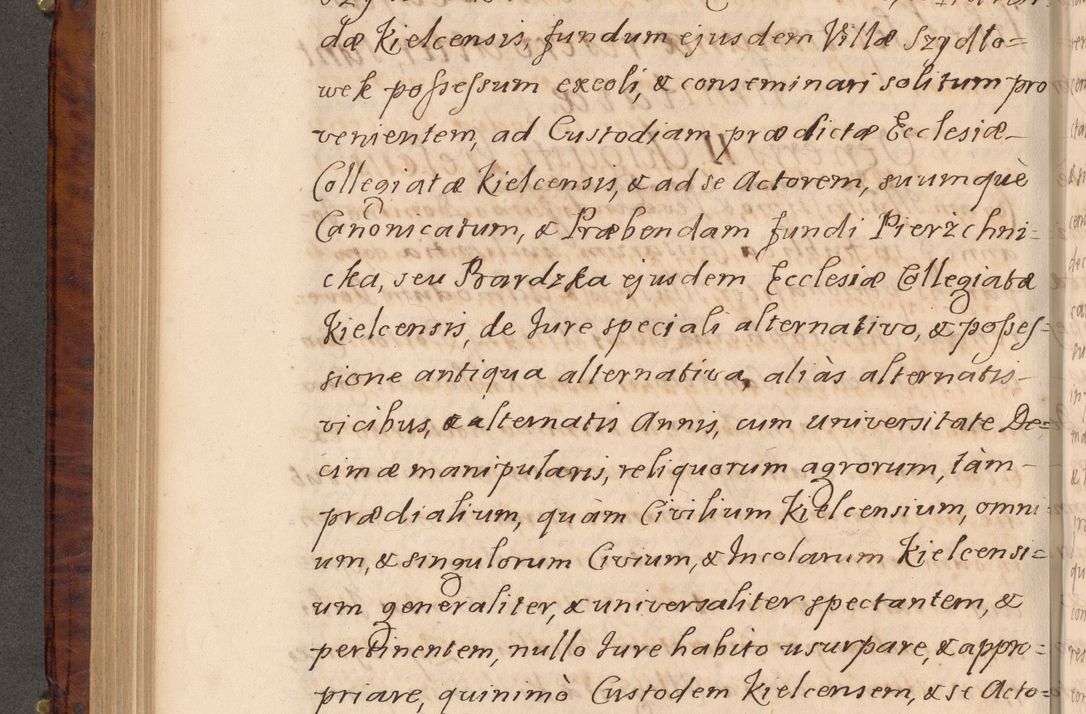 Zdjęcie nr 391 dla obiektu archiwalnego: Volumen VIII actorum episcopalium R. D. Joannis Małachowski, episcopi Cracoviensis ducis Severiae de anno 1697, quorum index videatur ad finem