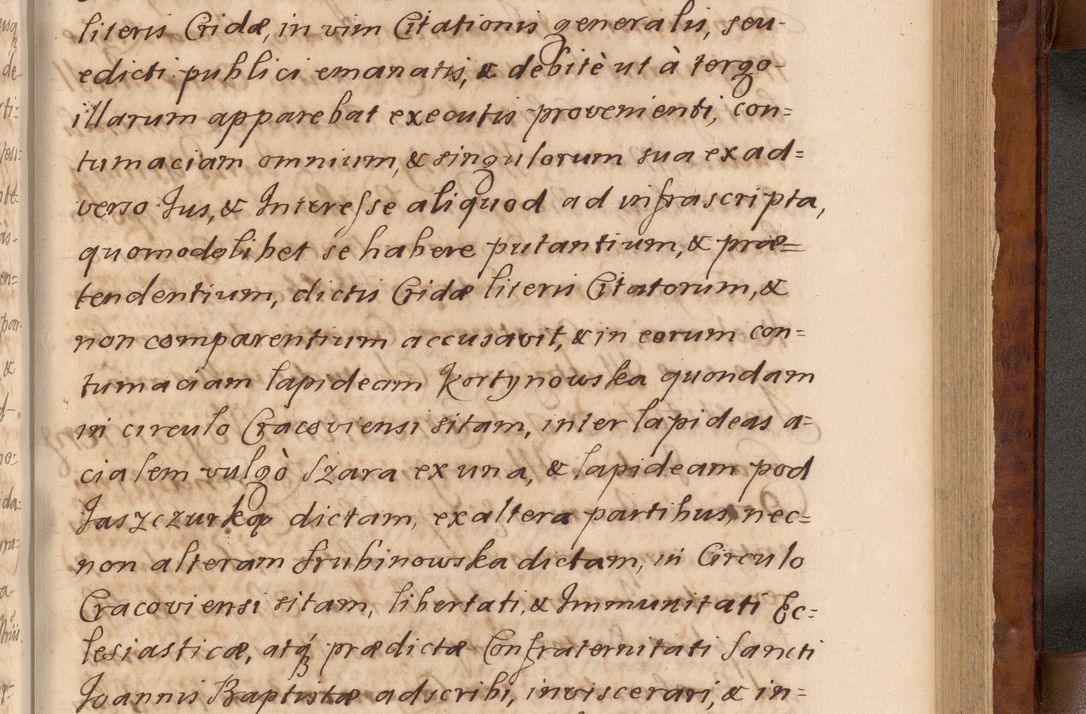 Zdjęcie nr 384 dla obiektu archiwalnego: Volumen VIII actorum episcopalium R. D. Joannis Małachowski, episcopi Cracoviensis ducis Severiae de anno 1697, quorum index videatur ad finem