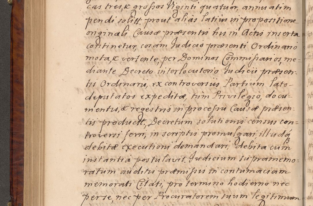 Zdjęcie nr 379 dla obiektu archiwalnego: Volumen VIII actorum episcopalium R. D. Joannis Małachowski, episcopi Cracoviensis ducis Severiae de anno 1697, quorum index videatur ad finem