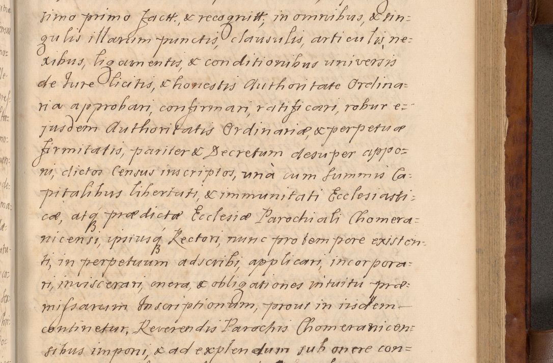 Zdjęcie nr 350 dla obiektu archiwalnego: Volumen VIII actorum episcopalium R. D. Joannis Małachowski, episcopi Cracoviensis ducis Severiae de anno 1697, quorum index videatur ad finem