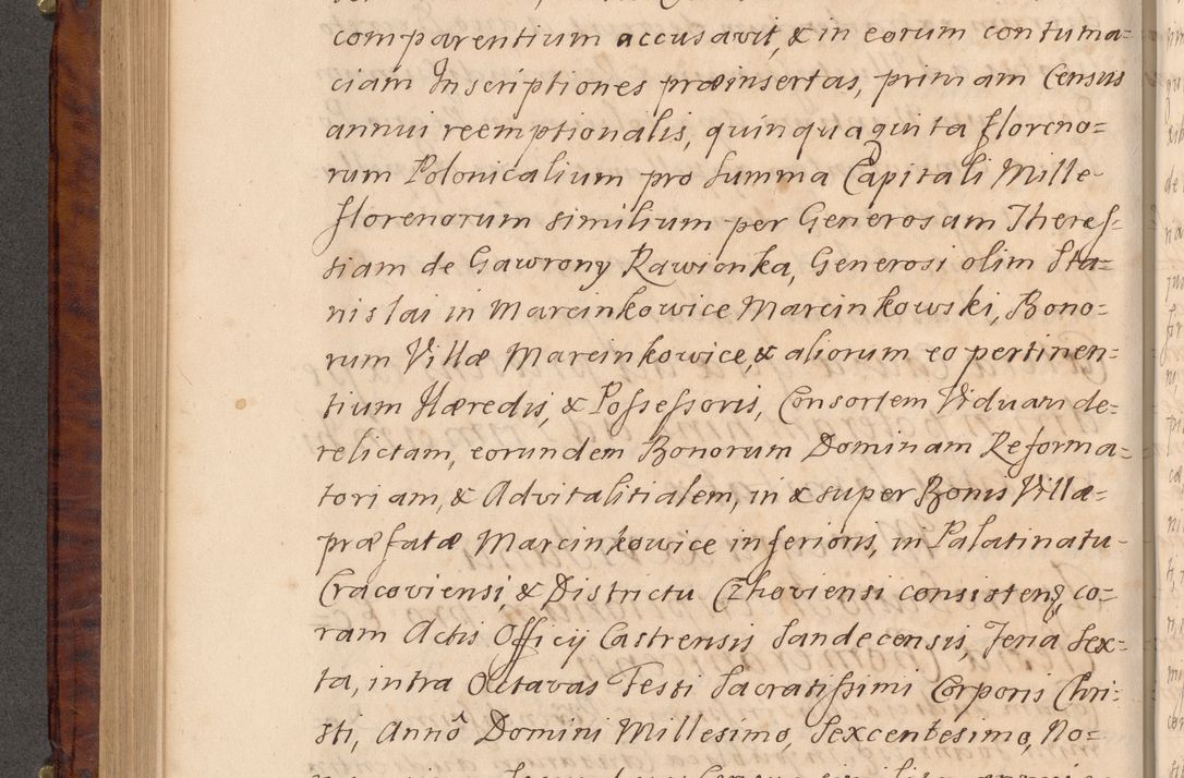 Zdjęcie nr 349 dla obiektu archiwalnego: Volumen VIII actorum episcopalium R. D. Joannis Małachowski, episcopi Cracoviensis ducis Severiae de anno 1697, quorum index videatur ad finem