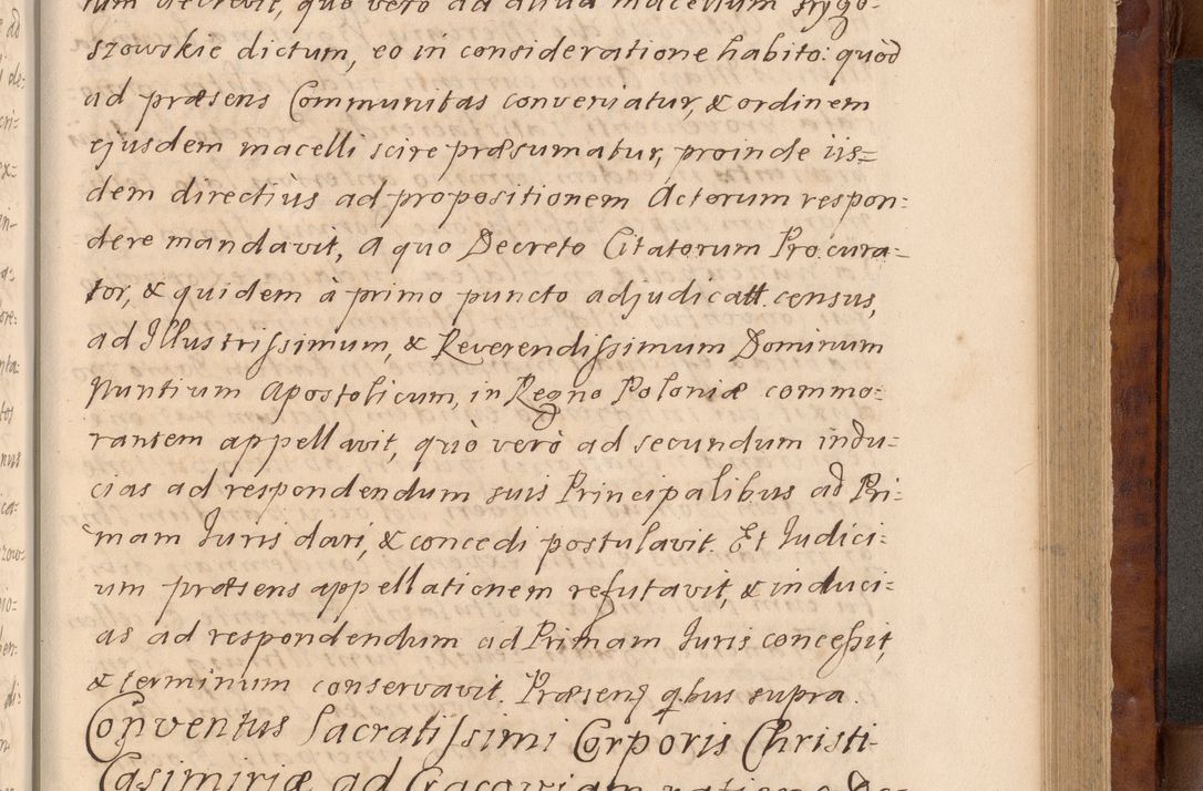 Zdjęcie nr 332 dla obiektu archiwalnego: Volumen VIII actorum episcopalium R. D. Joannis Małachowski, episcopi Cracoviensis ducis Severiae de anno 1697, quorum index videatur ad finem