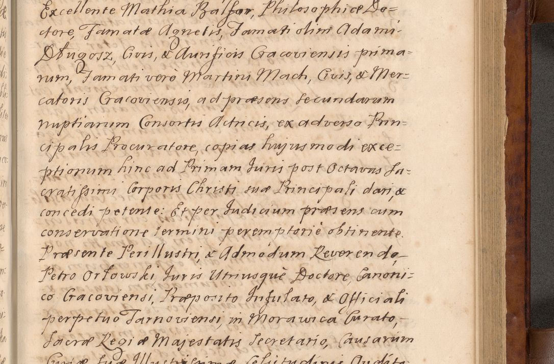 Zdjęcie nr 312 dla obiektu archiwalnego: Volumen VIII actorum episcopalium R. D. Joannis Małachowski, episcopi Cracoviensis ducis Severiae de anno 1697, quorum index videatur ad finem
