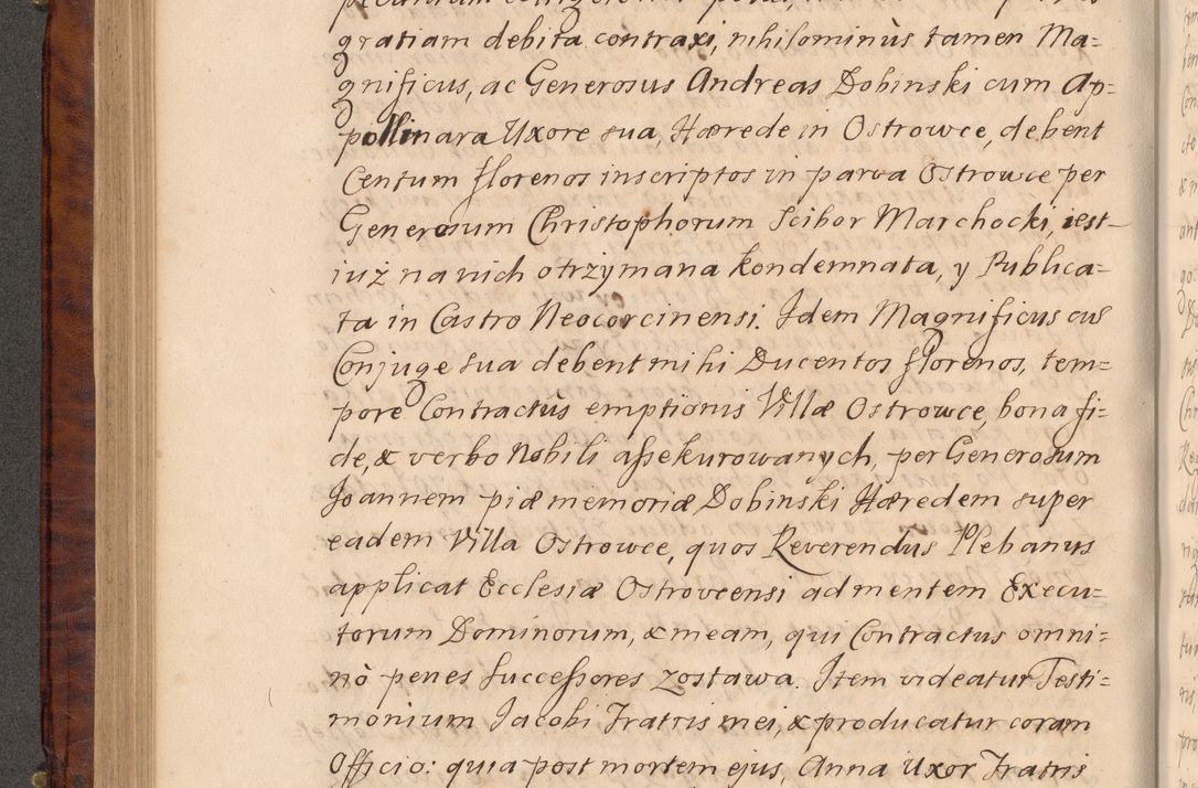 Zdjęcie nr 275 dla obiektu archiwalnego: Volumen VIII actorum episcopalium R. D. Joannis Małachowski, episcopi Cracoviensis ducis Severiae de anno 1697, quorum index videatur ad finem