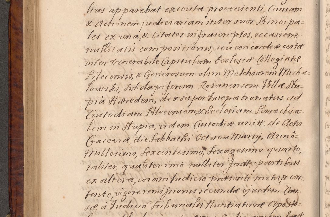 Zdjęcie nr 255 dla obiektu archiwalnego: Volumen VIII actorum episcopalium R. D. Joannis Małachowski, episcopi Cracoviensis ducis Severiae de anno 1697, quorum index videatur ad finem