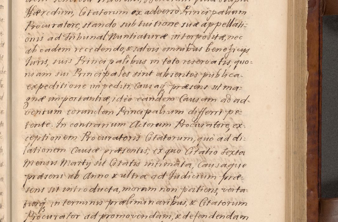 Zdjęcie nr 256 dla obiektu archiwalnego: Volumen VIII actorum episcopalium R. D. Joannis Małachowski, episcopi Cracoviensis ducis Severiae de anno 1697, quorum index videatur ad finem