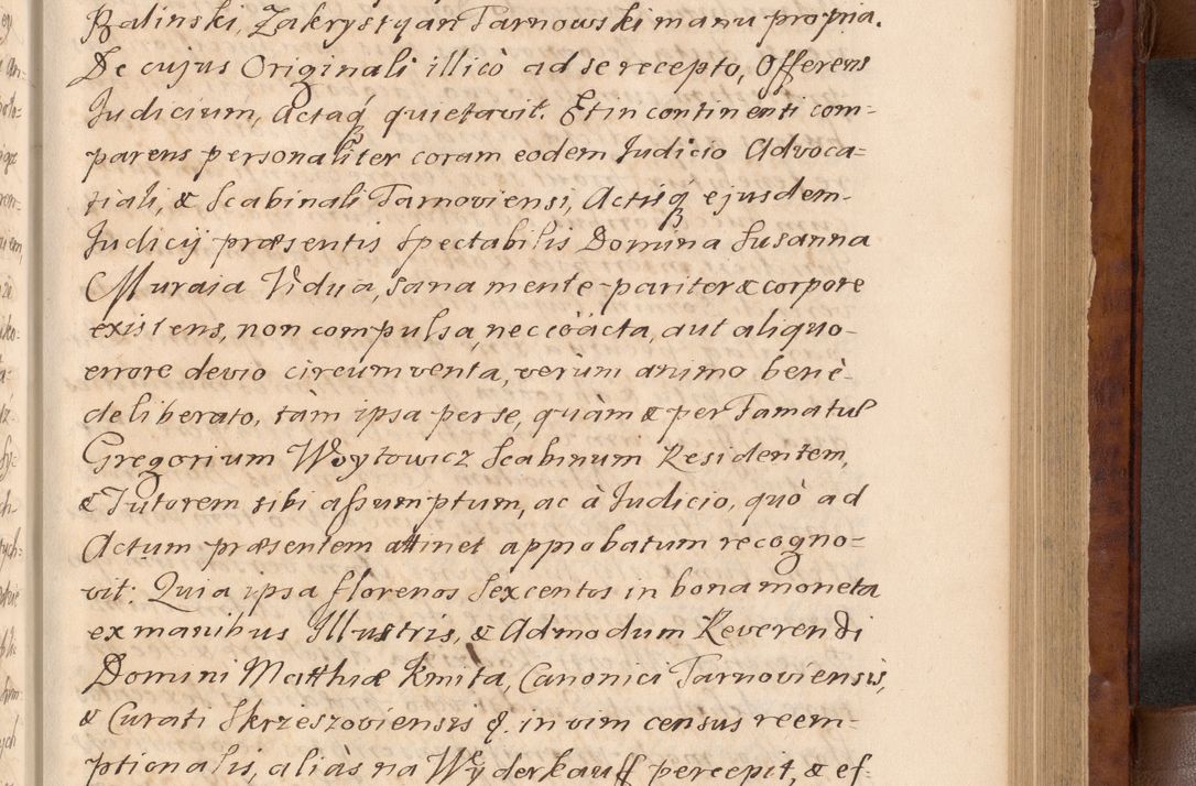 Zdjęcie nr 244 dla obiektu archiwalnego: Volumen VIII actorum episcopalium R. D. Joannis Małachowski, episcopi Cracoviensis ducis Severiae de anno 1697, quorum index videatur ad finem