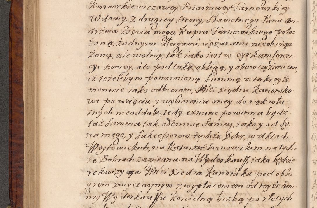 Zdjęcie nr 243 dla obiektu archiwalnego: Volumen VIII actorum episcopalium R. D. Joannis Małachowski, episcopi Cracoviensis ducis Severiae de anno 1697, quorum index videatur ad finem