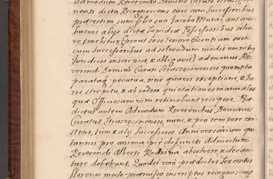 Zdjęcie nr 245 dla obiektu archiwalnego: Volumen VIII actorum episcopalium R. D. Joannis Małachowski, episcopi Cracoviensis ducis Severiae de anno 1697, quorum index videatur ad finem
