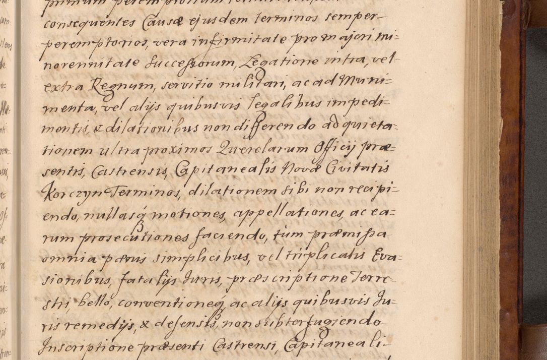 Zdjęcie nr 238 dla obiektu archiwalnego: Volumen VIII actorum episcopalium R. D. Joannis Małachowski, episcopi Cracoviensis ducis Severiae de anno 1697, quorum index videatur ad finem