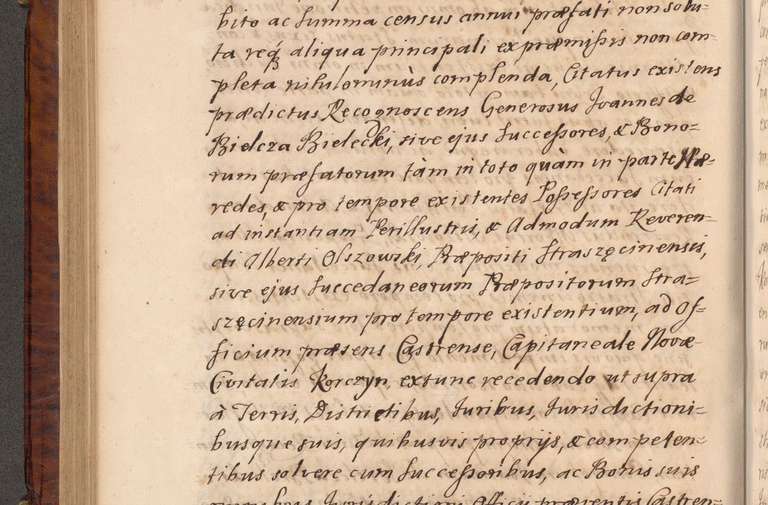 Zdjęcie nr 237 dla obiektu archiwalnego: Volumen VIII actorum episcopalium R. D. Joannis Małachowski, episcopi Cracoviensis ducis Severiae de anno 1697, quorum index videatur ad finem