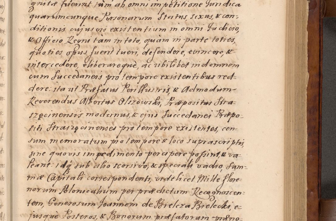 Zdjęcie nr 236 dla obiektu archiwalnego: Volumen VIII actorum episcopalium R. D. Joannis Małachowski, episcopi Cracoviensis ducis Severiae de anno 1697, quorum index videatur ad finem