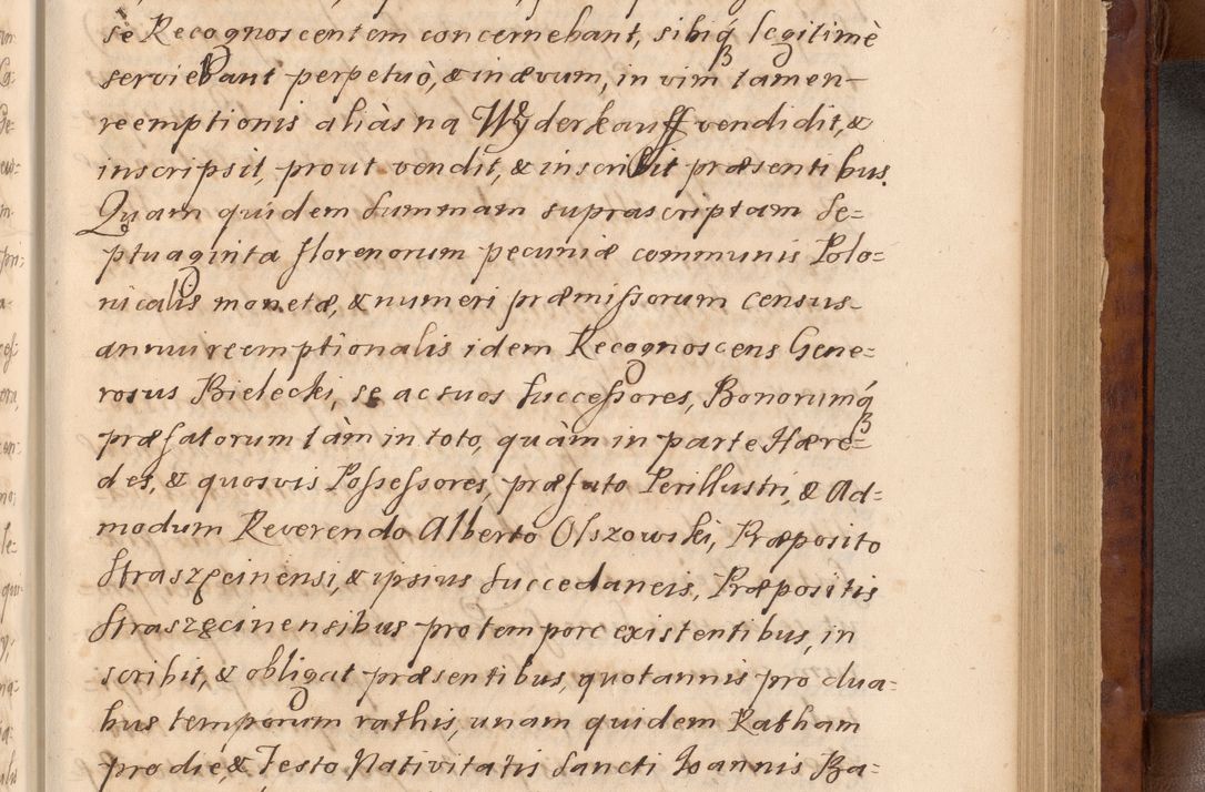 Zdjęcie nr 234 dla obiektu archiwalnego: Volumen VIII actorum episcopalium R. D. Joannis Małachowski, episcopi Cracoviensis ducis Severiae de anno 1697, quorum index videatur ad finem