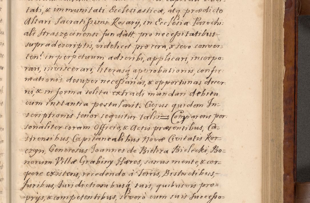 Zdjęcie nr 232 dla obiektu archiwalnego: Volumen VIII actorum episcopalium R. D. Joannis Małachowski, episcopi Cracoviensis ducis Severiae de anno 1697, quorum index videatur ad finem