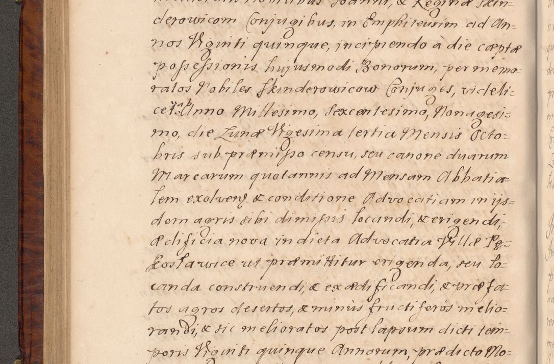 Zdjęcie nr 227 dla obiektu archiwalnego: Volumen VIII actorum episcopalium R. D. Joannis Małachowski, episcopi Cracoviensis ducis Severiae de anno 1697, quorum index videatur ad finem