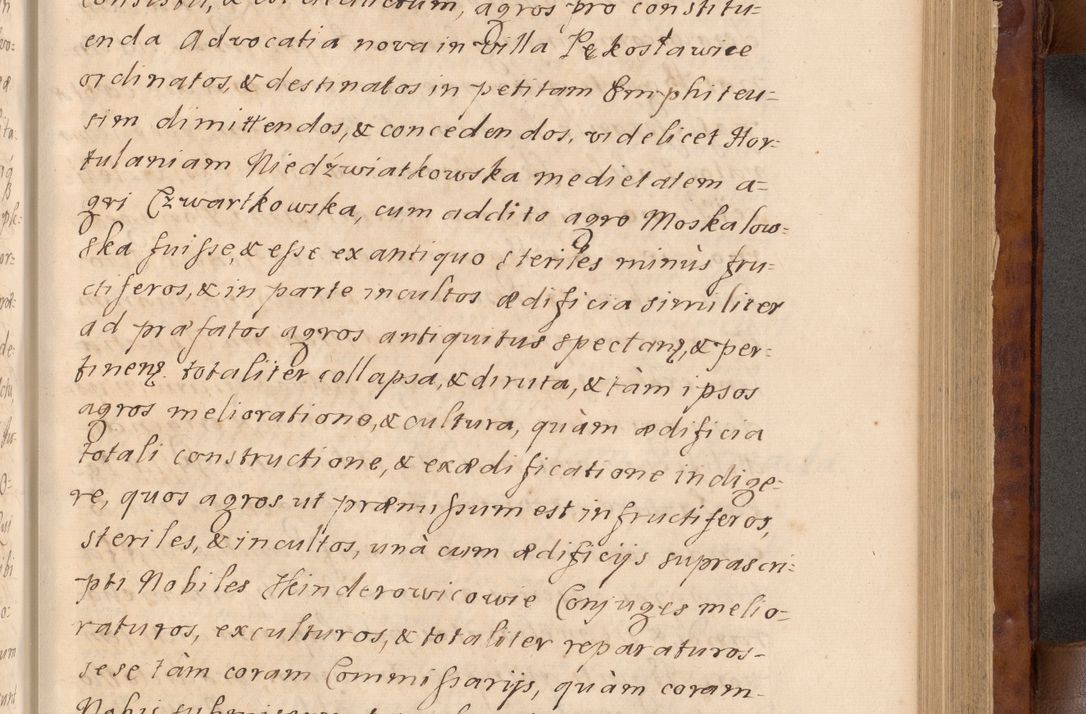 Zdjęcie nr 226 dla obiektu archiwalnego: Volumen VIII actorum episcopalium R. D. Joannis Małachowski, episcopi Cracoviensis ducis Severiae de anno 1697, quorum index videatur ad finem