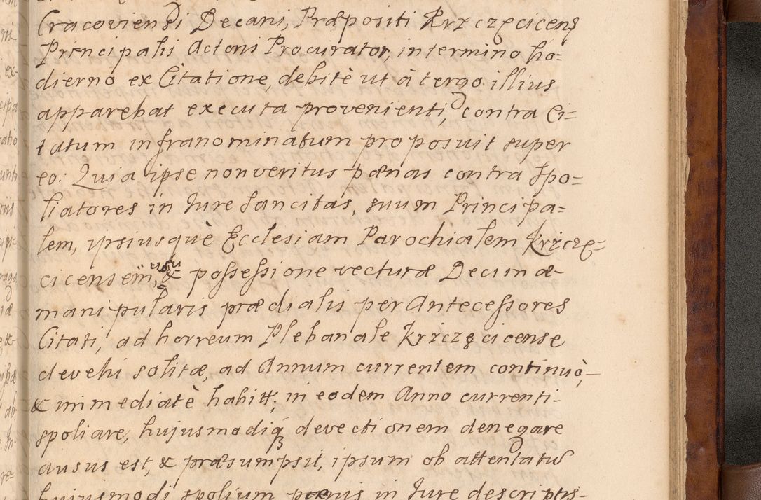 Zdjęcie nr 582 dla obiektu archiwalnego: Volumen VIII actorum episcopalium R. D. Joannis Małachowski, episcopi Cracoviensis ducis Severiae de anno 1697, quorum index videatur ad finem
