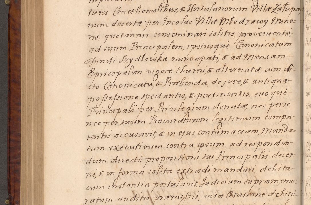 Zdjęcie nr 493 dla obiektu archiwalnego: Volumen VIII actorum episcopalium R. D. Joannis Małachowski, episcopi Cracoviensis ducis Severiae de anno 1697, quorum index videatur ad finem