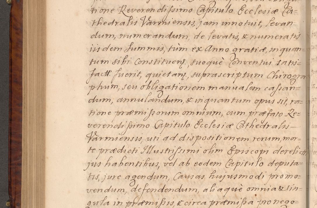 Zdjęcie nr 491 dla obiektu archiwalnego: Volumen VIII actorum episcopalium R. D. Joannis Małachowski, episcopi Cracoviensis ducis Severiae de anno 1697, quorum index videatur ad finem