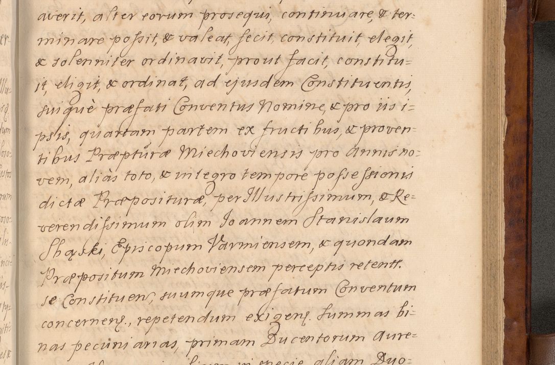 Zdjęcie nr 490 dla obiektu archiwalnego: Volumen VIII actorum episcopalium R. D. Joannis Małachowski, episcopi Cracoviensis ducis Severiae de anno 1697, quorum index videatur ad finem