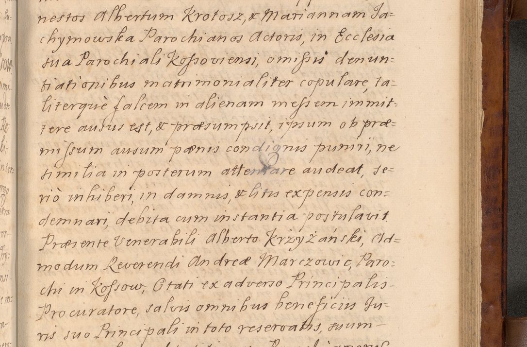 Zdjęcie nr 486 dla obiektu archiwalnego: Volumen VIII actorum episcopalium R. D. Joannis Małachowski, episcopi Cracoviensis ducis Severiae de anno 1697, quorum index videatur ad finem