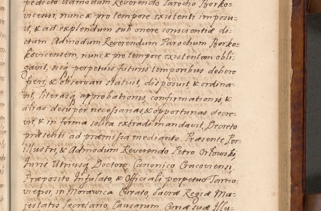 Zdjęcie nr 448 dla obiektu archiwalnego: Volumen VIII actorum episcopalium R. D. Joannis Małachowski, episcopi Cracoviensis ducis Severiae de anno 1697, quorum index videatur ad finem