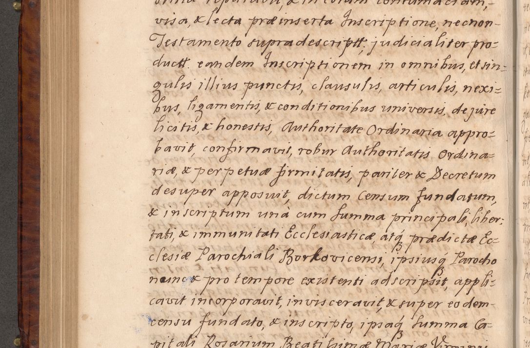 Zdjęcie nr 447 dla obiektu archiwalnego: Volumen VIII actorum episcopalium R. D. Joannis Małachowski, episcopi Cracoviensis ducis Severiae de anno 1697, quorum index videatur ad finem