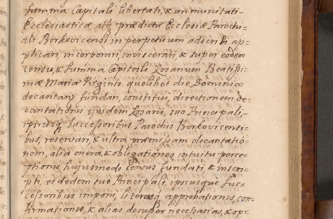 Zdjęcie nr 446 dla obiektu archiwalnego: Volumen VIII actorum episcopalium R. D. Joannis Małachowski, episcopi Cracoviensis ducis Severiae de anno 1697, quorum index videatur ad finem