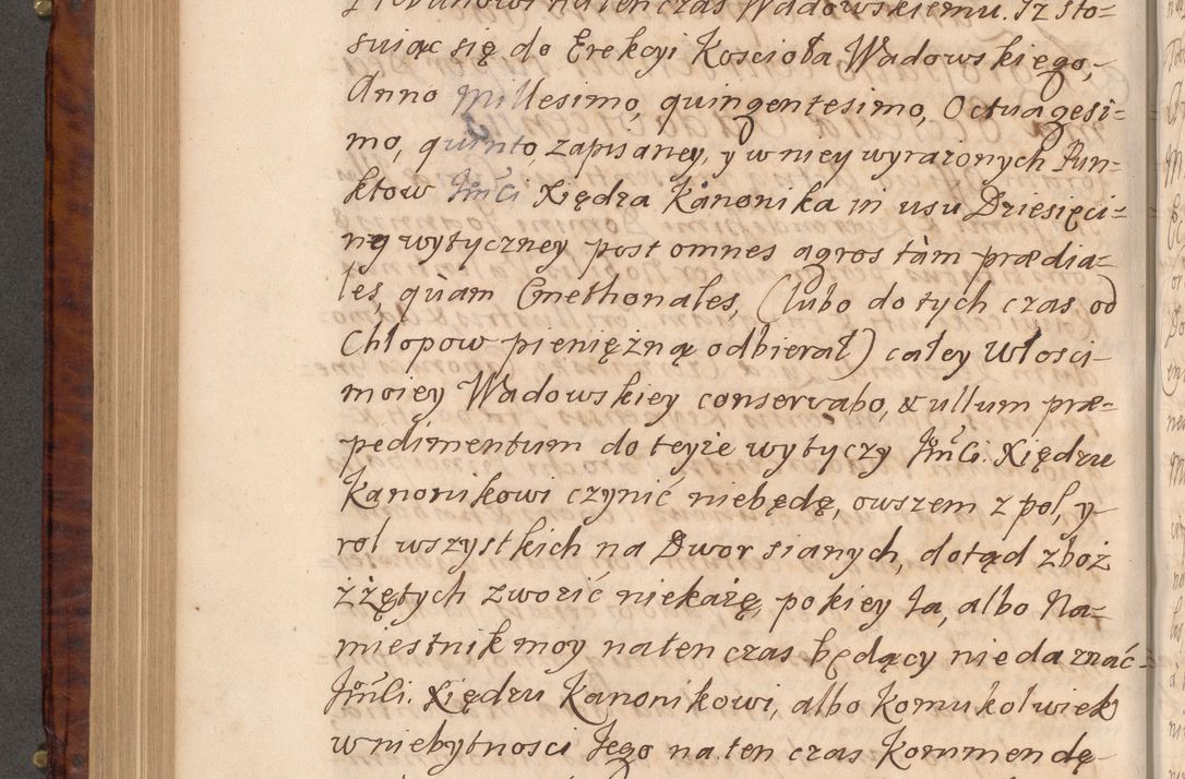 Zdjęcie nr 443 dla obiektu archiwalnego: Volumen VIII actorum episcopalium R. D. Joannis Małachowski, episcopi Cracoviensis ducis Severiae de anno 1697, quorum index videatur ad finem