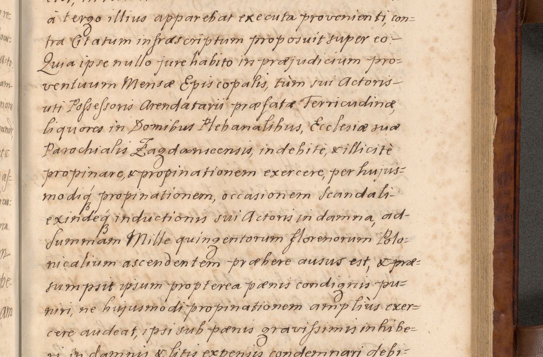 Zdjęcie nr 434 dla obiektu archiwalnego: Volumen VIII actorum episcopalium R. D. Joannis Małachowski, episcopi Cracoviensis ducis Severiae de anno 1697, quorum index videatur ad finem