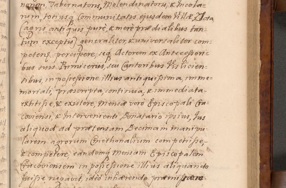 Zdjęcie nr 424 dla obiektu archiwalnego: Volumen VIII actorum episcopalium R. D. Joannis Małachowski, episcopi Cracoviensis ducis Severiae de anno 1697, quorum index videatur ad finem