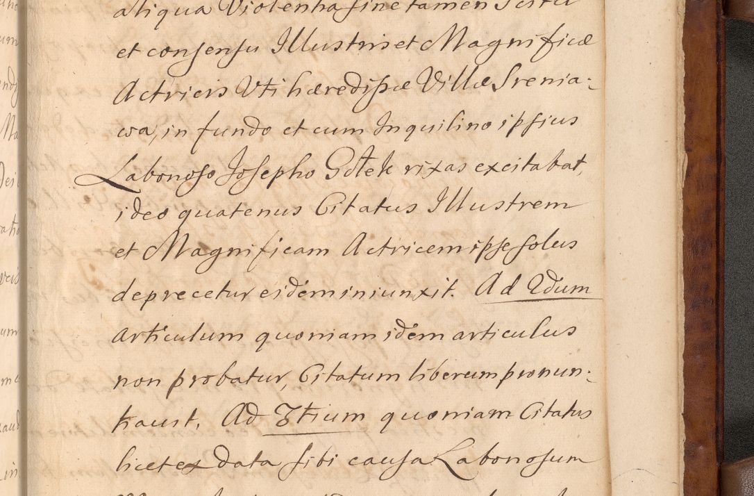 Zdjęcie nr 650 dla obiektu archiwalnego: Volumen VIII actorum episcopalium R. D. Joannis Małachowski, episcopi Cracoviensis ducis Severiae de anno 1697, quorum index videatur ad finem