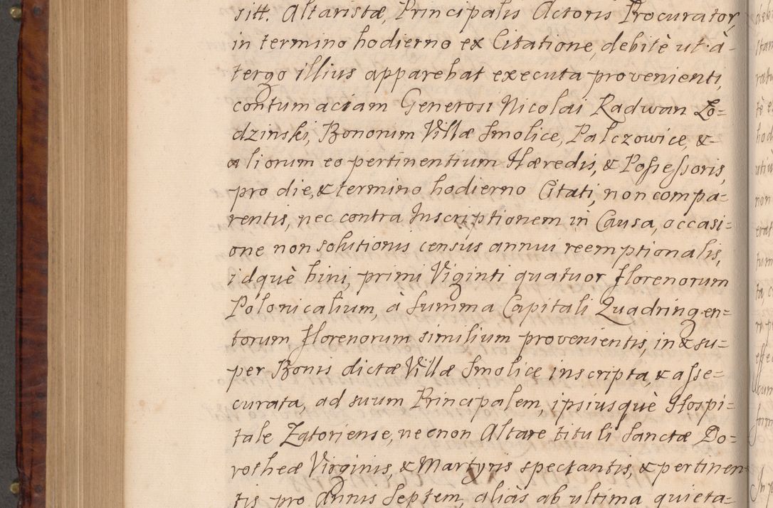 Zdjęcie nr 619 dla obiektu archiwalnego: Volumen VIII actorum episcopalium R. D. Joannis Małachowski, episcopi Cracoviensis ducis Severiae de anno 1697, quorum index videatur ad finem