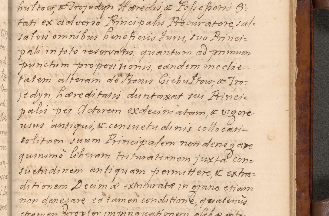 Zdjęcie nr 604 dla obiektu archiwalnego: Volumen VIII actorum episcopalium R. D. Joannis Małachowski, episcopi Cracoviensis ducis Severiae de anno 1697, quorum index videatur ad finem