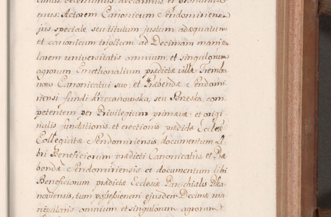 Zdjęcie nr 90 dla obiektu archiwalnego: Volumen VII actorum episcopalium Joannis Małachowski, episcopi Cracoviensis, ducis Severiae de anno 1694 - 1696, quorum index ad finem videatur