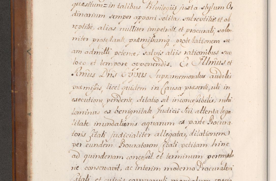 Zdjęcie nr 19 dla obiektu archiwalnego: Volumen VII actorum episcopalium Joannis Małachowski, episcopi Cracoviensis, ducis Severiae de anno 1694 - 1696, quorum index ad finem videatur