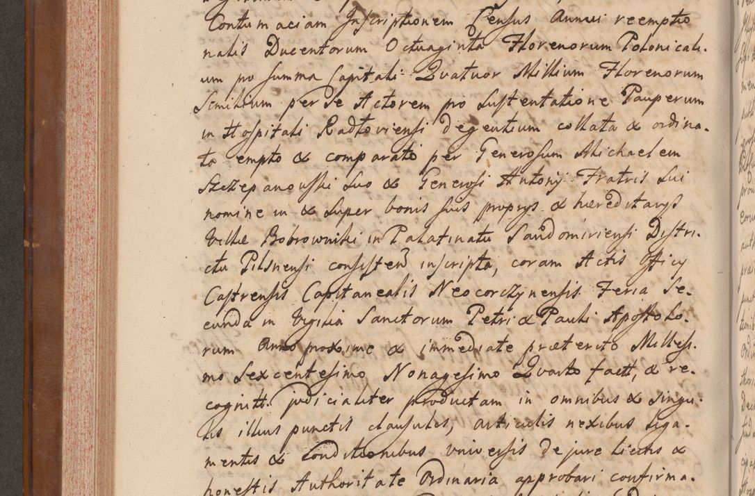 Zdjęcie nr 351 dla obiektu archiwalnego: Volumen VII actorum episcopalium Joannis Małachowski, episcopi Cracoviensis, ducis Severiae de anno 1694 - 1696, quorum index ad finem videatur